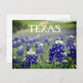 ブルーボンネットブルーフラワーズテキサス州テシャンフローラ ポストカード (正面/裏面)