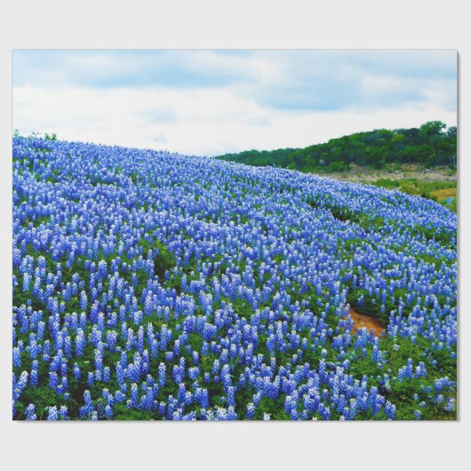ブルーボンネットブルーフローラテキサス州テシャンエレガント ラッピングペーパー (フラット)