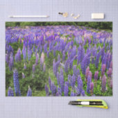 ブルーボンネットブルーフローラテキサス州テシャンエレガント 薄葉紙 (クラフト)