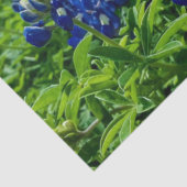 ブルーボンネットブルーフローラテキサス州テシャンエレガント 薄葉紙 (詳細)