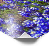 ブルーボンネットロック#2 フォトプリント            (角)