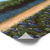 ブルーボンネット付き納屋 ポスター (角)