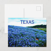 ブルーボンネット ブルーフラワー テキサス テキサス人 花 ポストカード (正面/裏面)