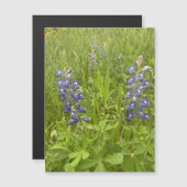 ブルーボンネットBlvd.マグネット (正面/裏面)