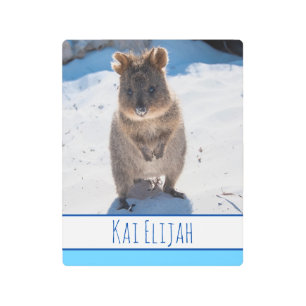 ブルーボーイズキッズクオッカビーチ パーソナライズされた メタルプリント