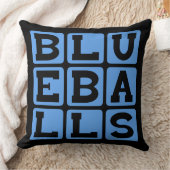 ブルーボール クッション (ブランケット)