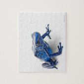 ブルーポイズンダーツカエル（樹状突起） ジグソーパズル (縦)