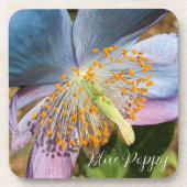 ブルーポピー開花フローラ コースター (正面)