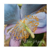 ブルーポピー開花フローラ タイル (正面)