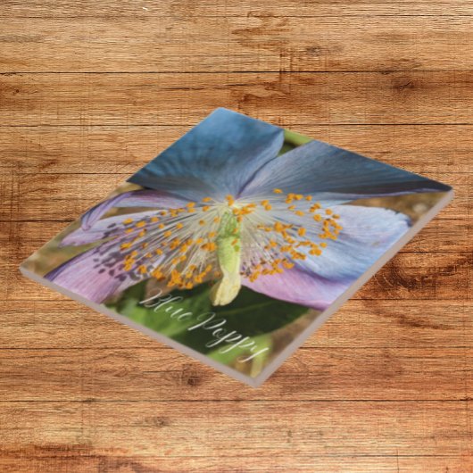 ブルーポピー開花フローラ タイル