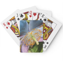 ブルーポピー開花フローラ