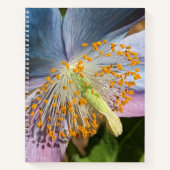 ブルーポピー開花フローラ ノートブック (正面)