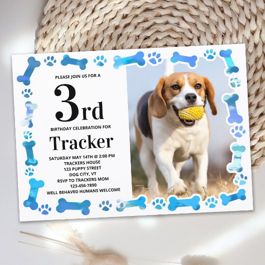 ブルーポープリントカスタムドッグ誕生日パーティー写真 招待状