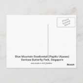 ブルーマウンテンアゲハチョウバタフライハガキ ポストカード (裏面)