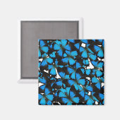 ブルーマウンテンアゲハチョウ マグネット (正面/裏面)