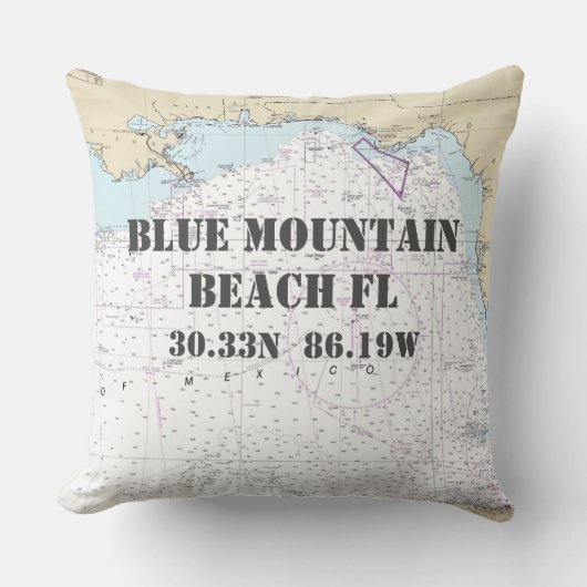 ブルーマウンテンビーチFL航海のグラフカスタム順序 クッション (正面)