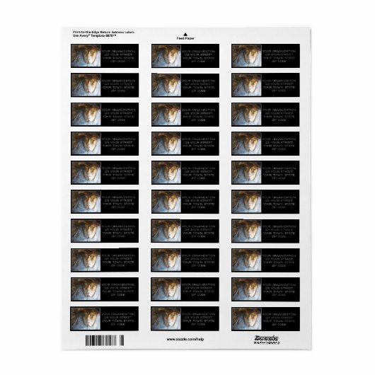 ブルーマスク ラベル (フルシート)