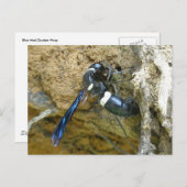 ブルーマッドドーバーワスポストカード ポストカード (正面/裏面)