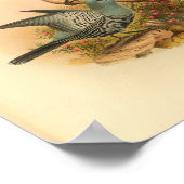 ブルーマフールクッコシュリークバードヴィンテージプリント ポスター (角)