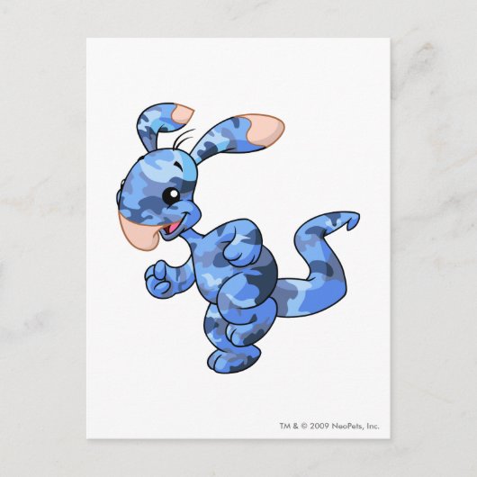 ブルーマルーカモフラージュ ポストカード (正面)