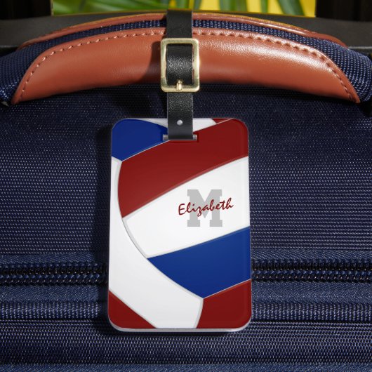 ブルーマルーチームのカラーバレーボールモノグラムのボール ラゲッジタグ (正面インサイチュ2)