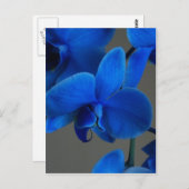 ブルーミスティーク ポストカード (正面/裏面)