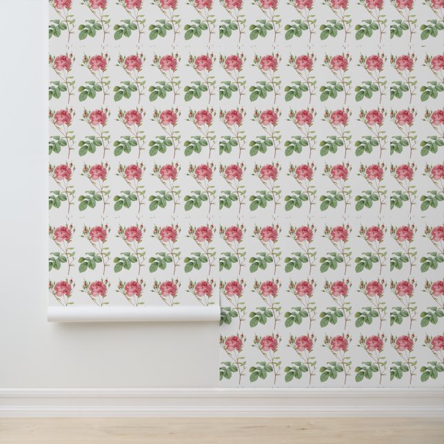 ブルーミンのゴージャス：レトロピンクローズリバイバル 壁紙 (アプリケーション)