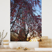 ブルーミングしだれさくらんぼツリーイン春 ポスター (キッチン)