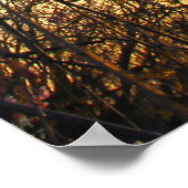 ブルーミングしだれさくらんぼツリーイン春 ポスター (角)