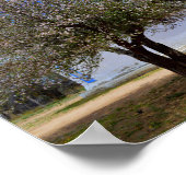 ブルーミングアップルツリー,サンクレデクリストチャペル, N.M. ポスター (角)