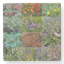 ブルーミングカリフォルニア：ダブルレインボー2020