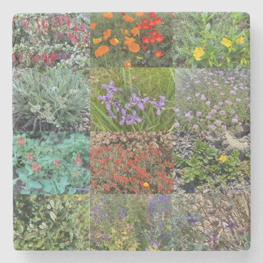 ブルーミングカリフォルニア：ダブルレインボー2020 ストーンコースター (正面)