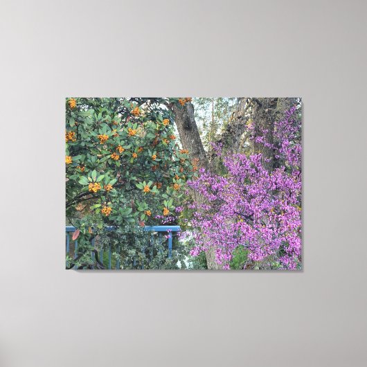 ブルーミングカリフォルニア：デイビス金ゴールド&ウエスタンレッドブド キャンバスプリント (正面)