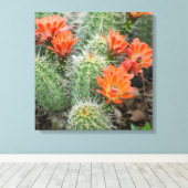 ブルーミングサボテンの写真 – コロラド砂漠のウォールアート キャンバスプリント (インサイチュ (ウッドフロア))