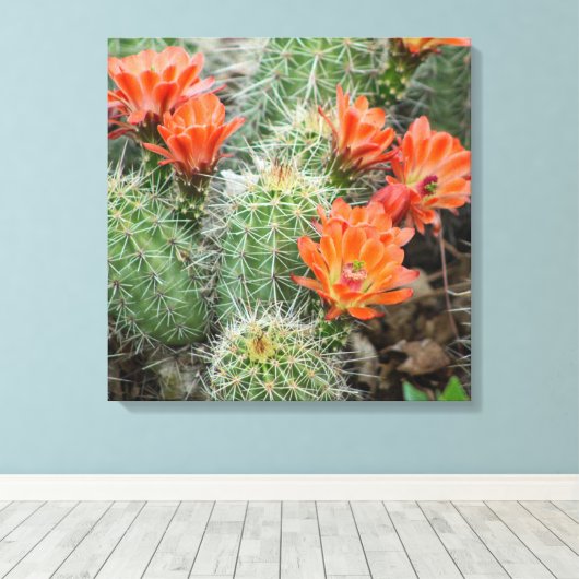 ブルーミングサボテンの写真 – コロラド砂漠のウォールアート キャンバスプリント (インサイチュ (ウッドフロア))