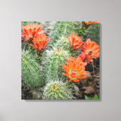 ブルーミングサボテンの写真 – コロラド砂漠のウォールアート キャンバスプリント (正面)