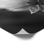 ブルーミングスカリオンズフローラ白黒プリント ポスター (角)