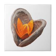 ブルーミングハートタイル