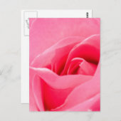 ブルーミングバラはがき ポストカード (正面/裏面)