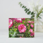 ブルーミングバラハッピーバースデー シーズンポストカード (スタンド正面)
