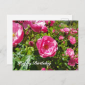 ブルーミングバラハッピーバースデー シーズンポストカード (正面/裏面)
