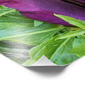 ブルーミングパープルドラゴンリリーフローラ フォトプリント            (角)