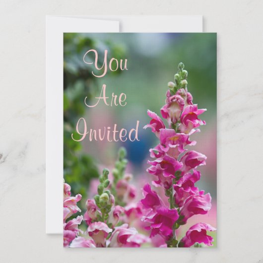 ブルーミングピンクフォックスグローブ招待状 招待状 (正面)