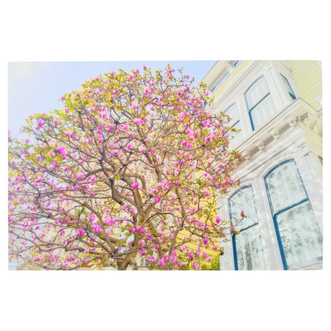 ブルーミングピンクマグノリアツリーバイハビクトリアンウス メタルプリント (正面)