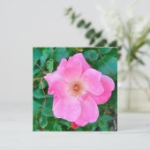 ブルーミングピンクローズフラワー誕生日グリーティング カード (スタンド正面)