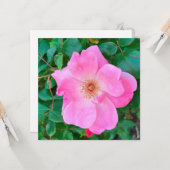 ブルーミングピンクローズフラワー誕生日グリーティング カード (正面/裏面インサイチュ)