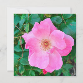 ブルーミングピンクローズフラワー誕生日グリーティング カード