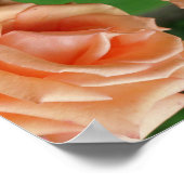 ブルーミングピーチバラ抽象芸術 ポスター (角)