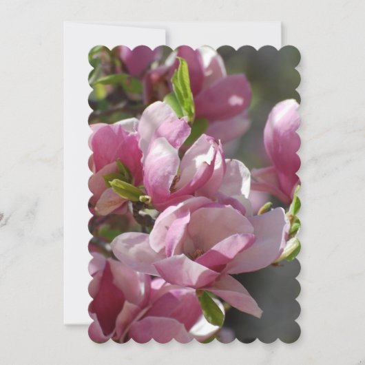 ブルーミングマグノリア 招待状 (正面)