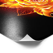 ブルーミング火災バラ フォトプリント            (角)